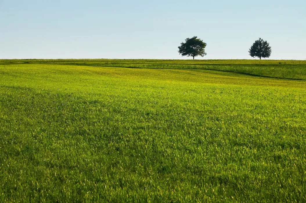 인조잔디-시공-방법-관련-사진