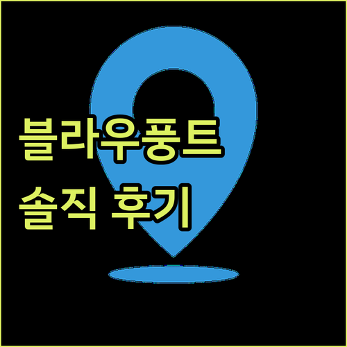 블라우풍트 드라이어 솔직 후기! 가격..