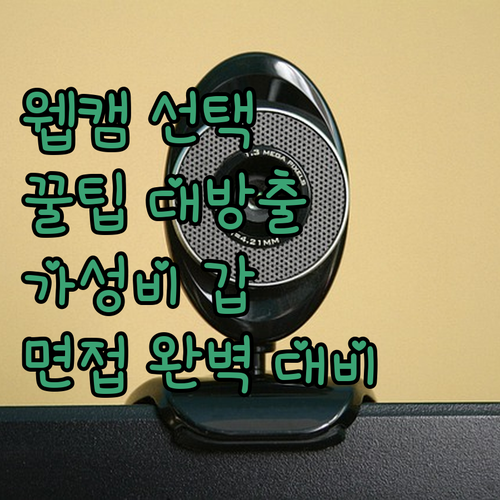 화상 면접 완벽 대비 가성비 좋은 웹..