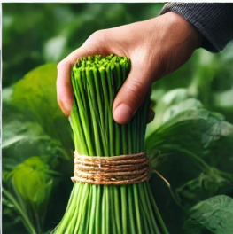 6시내고향 미나리