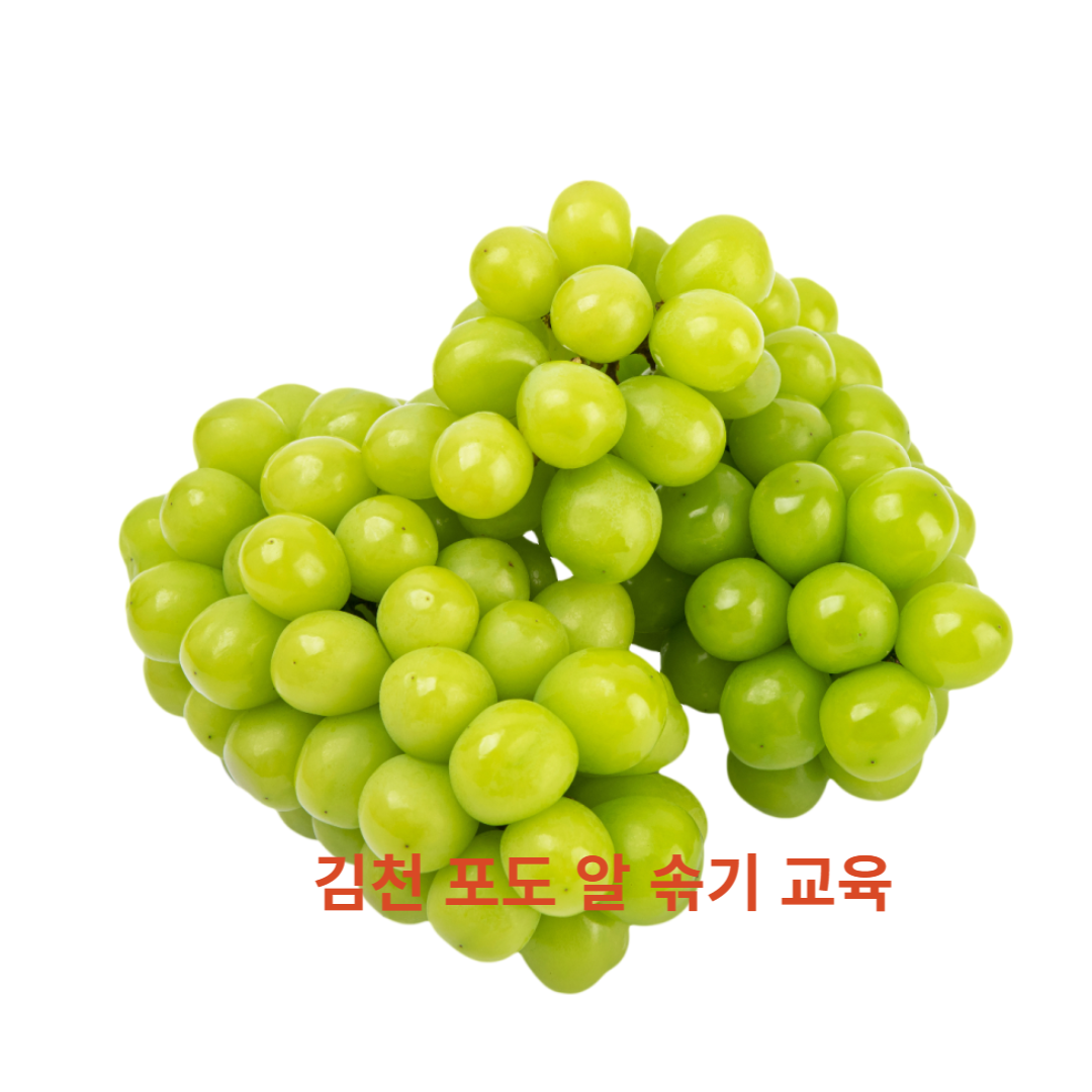 샤인머스켓