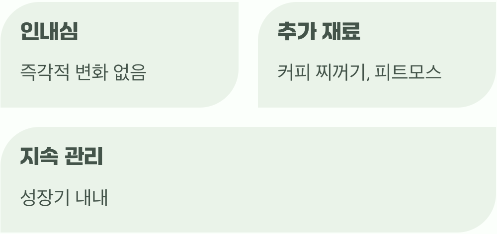 꾸준함이 만드는 푸른빛