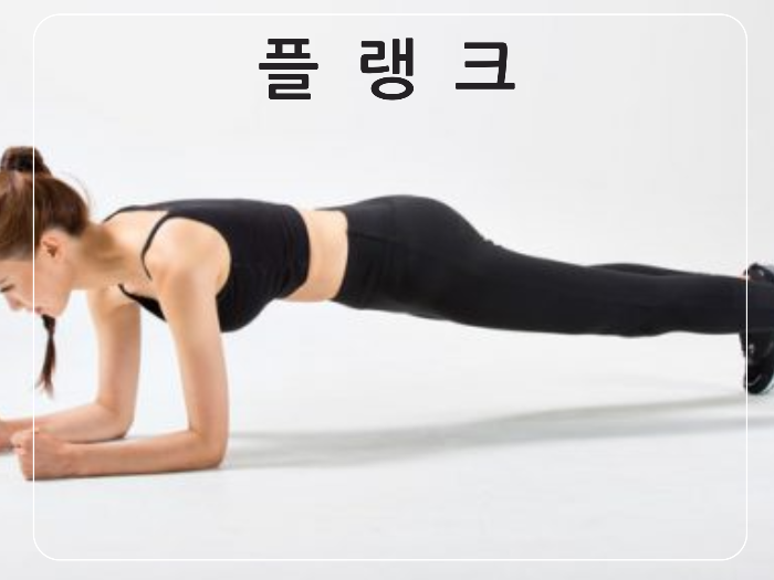 플랭크
