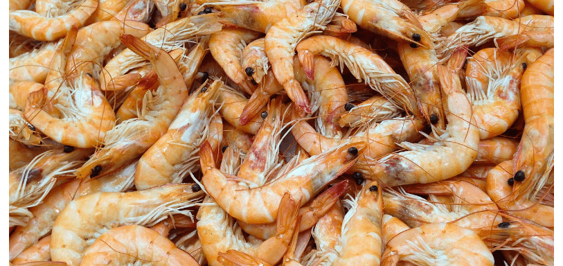 레시틴이 많은 음식 사진6