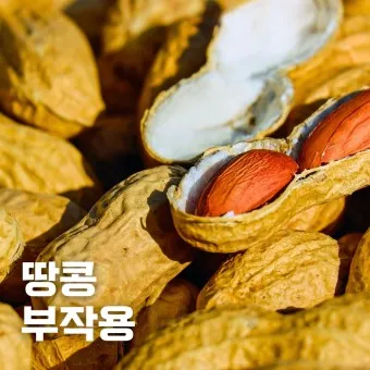 땅콩 칼로리 영양성분 과다섭취 부작용_9