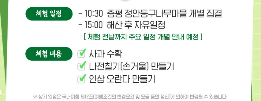 체험내용