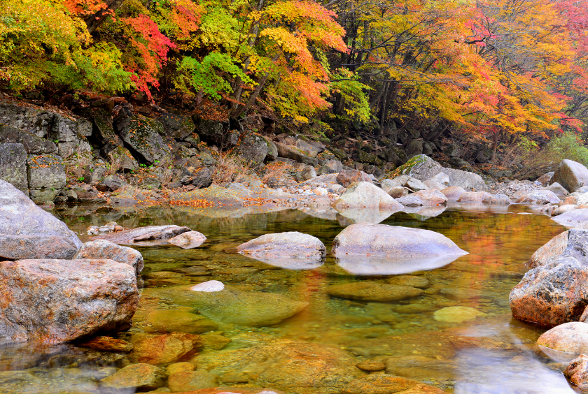 구례 지리산피아골1