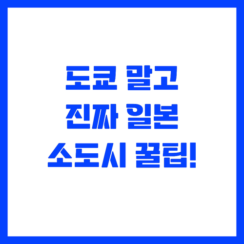 도쿄 오사카 말고 진짜 일본을 만나는..