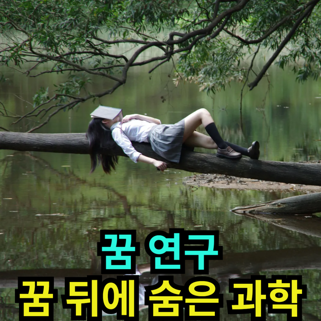 꿈 연구 - 꿈 뒤에 숨은 과학
