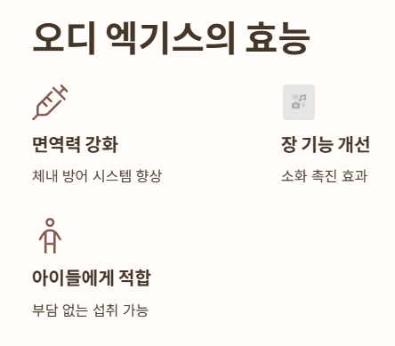 오디 엑기스 효능
