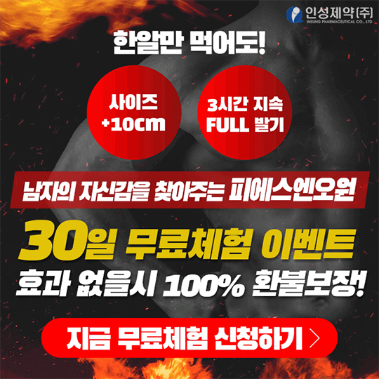 피에스엔오원-가격