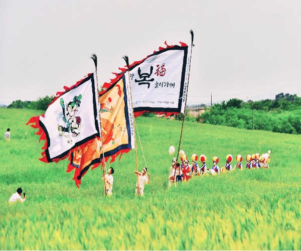 고창 청보리밭 축제