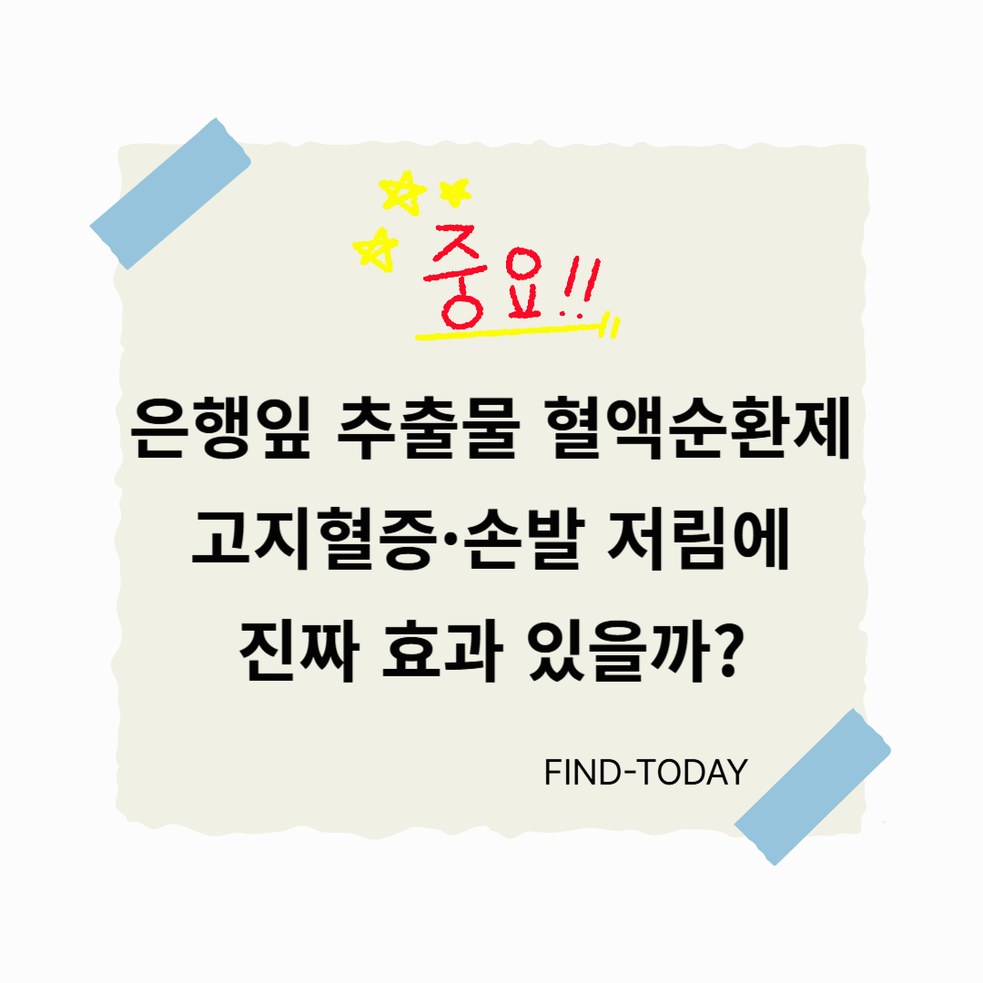 은행잎 추출물 혈액순환제, 고지혈증·손발 저림에 진짜 효과 있을까?