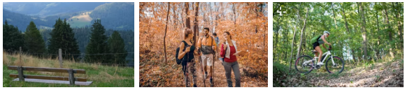 경기도-자연휴양림