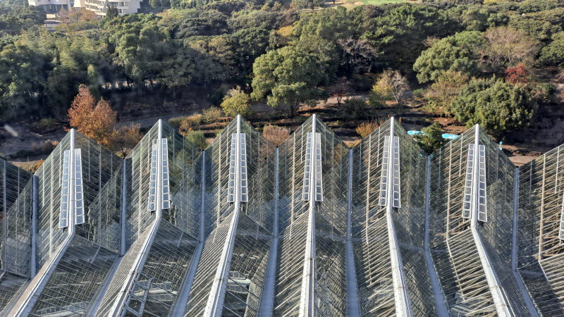 제주여행_여미지식물원