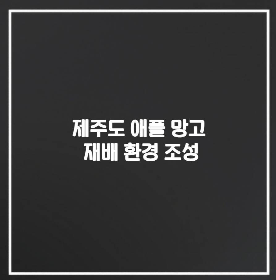 제주도 애플 망고 재배 환경