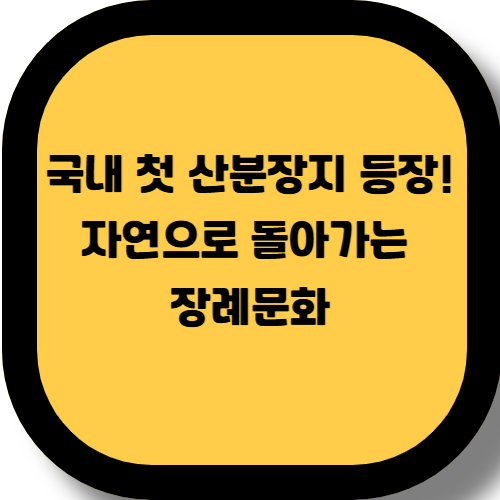국내 첫 산분장지, 홍전에 생긴 이유와 의미는? – 자연장 시대의 시작