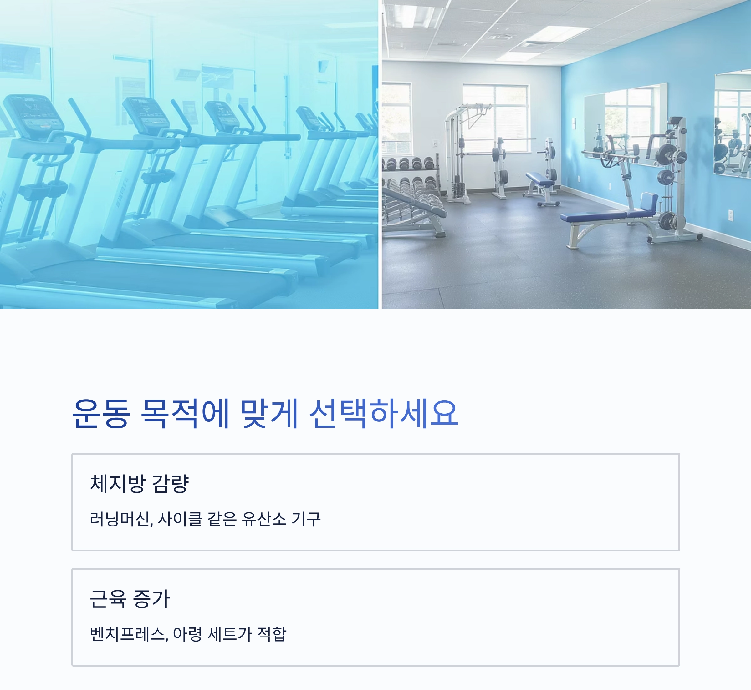 실패 없는 헬스 기구 구매, 이것만 알면 끝!