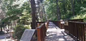 유명산 자연휴양림