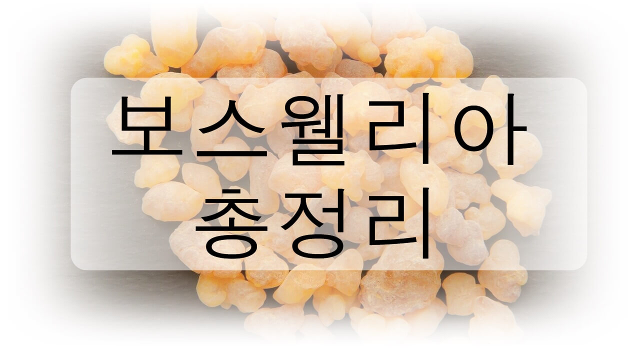 보스웰리아 복용법&#44; 효능&#44; 부작용&#44; 고르는 법 총정리!