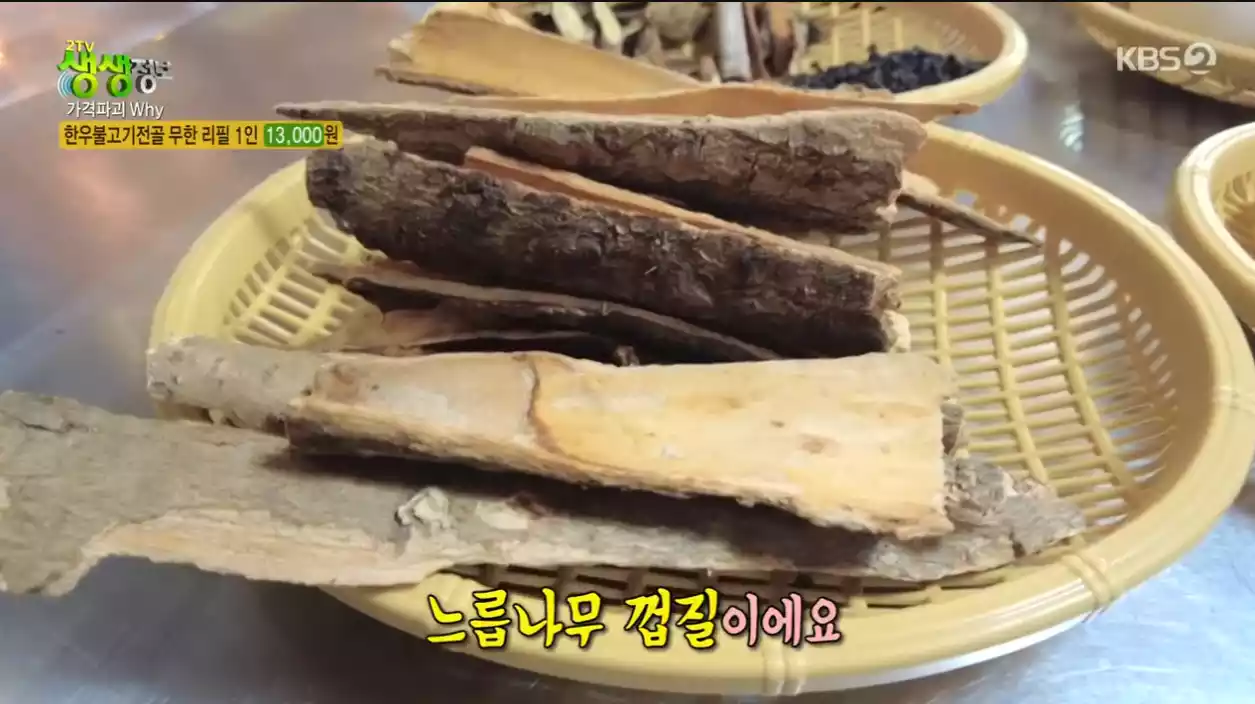 느릅나무껍질