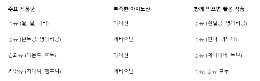 식물성 단백질, 이렇게 먹으면 부족하지 않습니다