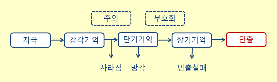 기억의 구조와 과정