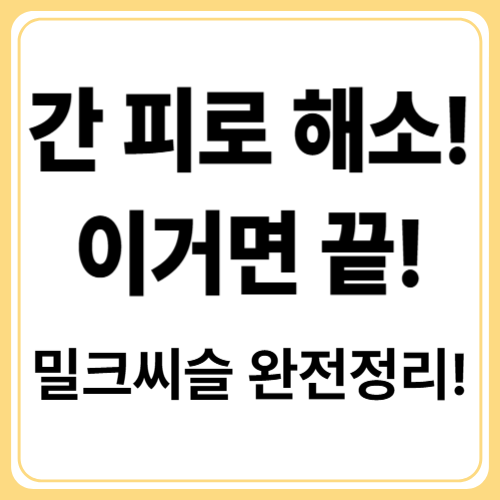 밀크씨슬 효능 완전정리! 간 보호부터 피부미용까지 한 번에!