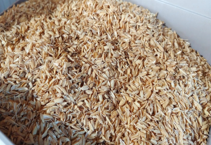 야생에서 채취를 한 왕겨를 깨끗하게 세척하고 건조시킨 것을 네모난 상자에 가득 담아 둔 것을 찍은 사진