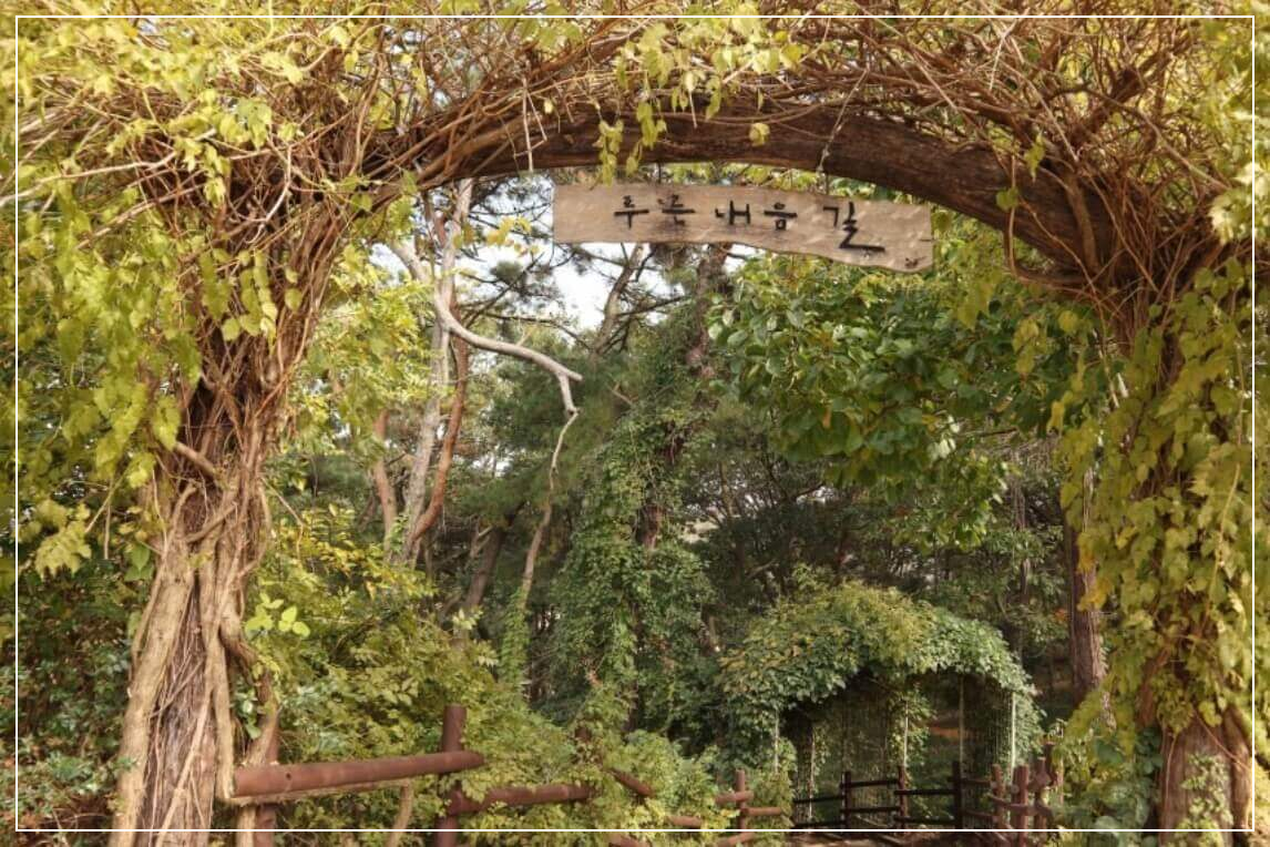 군산 가볼만한곳 베스트10 금강철새조망대