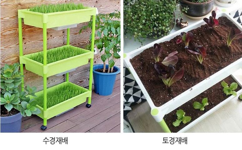 실내에서 허브부터 상추, 무, 방울토마토 등 채소 키우는 미니 텃밭 홈파밍 방법 추천 키트