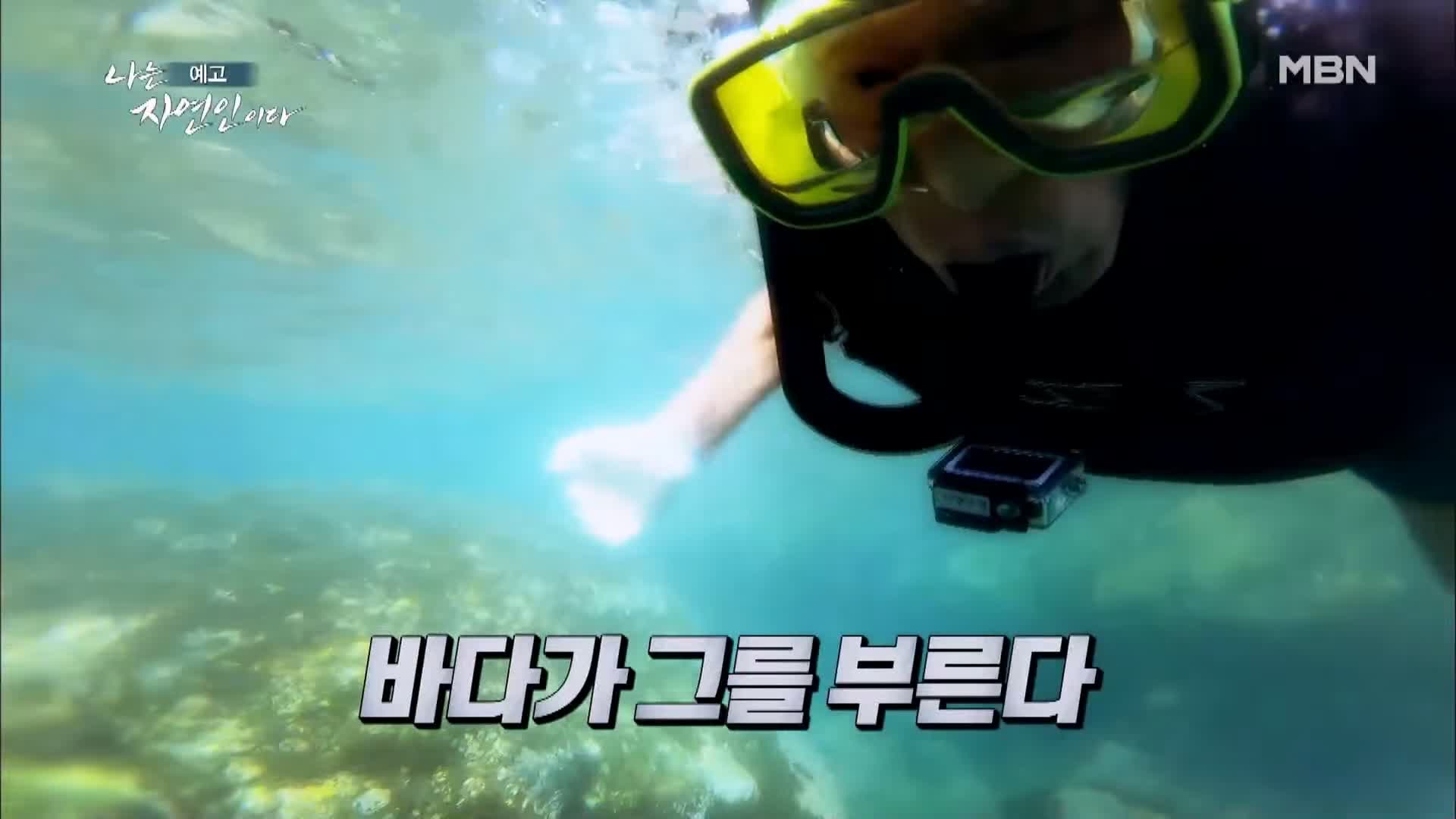 이승윤 윤택 나는 자연인이다 530회 바다에 빠진 그 사나이 자연인 정영희 소개 및 출연 다시보기