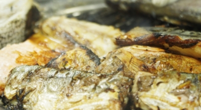 속초맛집이미지