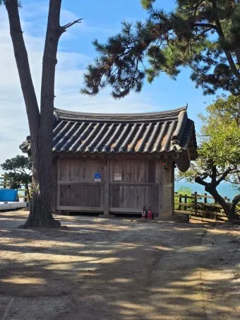 부안 수성당 유채꽃 히든스팟 개화시기_13