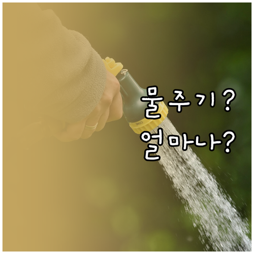 식물 물주기 FAQ: 얼마나 자주 줘..