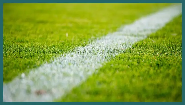 한국 쿠웨이트 축구 중계 방송 바로보기 어디서