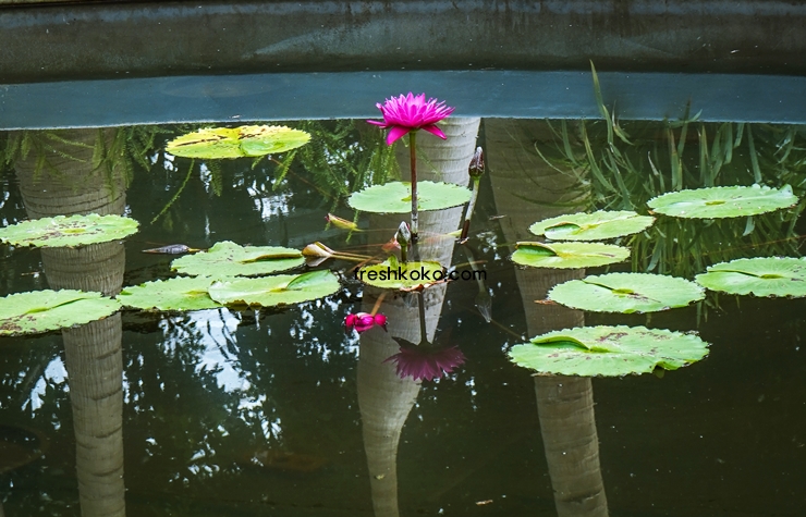 제주도 가볼만한곳 10곳