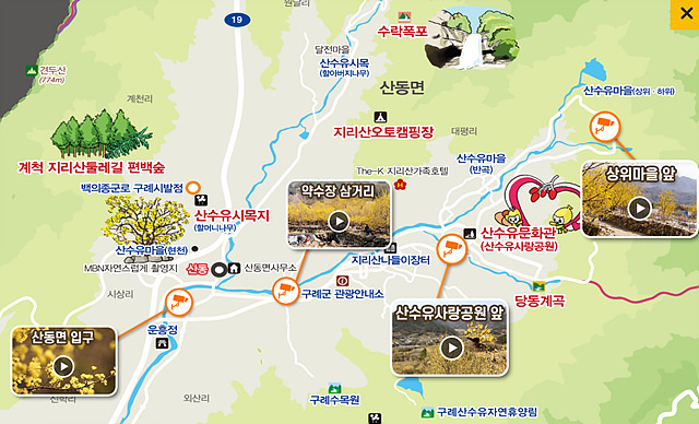 구례 산수유축제 기간, 실시간, 추천 코스, 주차장, 행사장 음식 정보