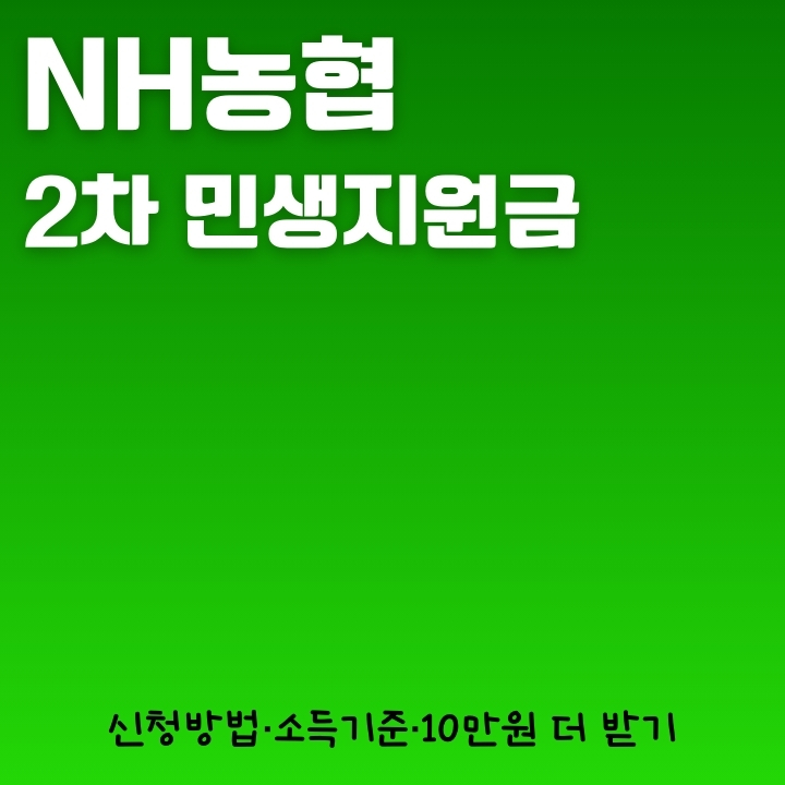 농협카드로 2차 민생지원금 신청하는 방법을 작성한 글의 썸네일