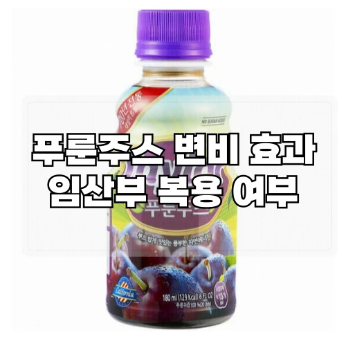 푸룬주스-변비-효과-임산부-복용-여부