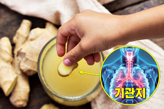 가래 삭히는 음식 생강차 생강편간 효능, 가래 없애는 차, 건강 팁줌 매일꿀정보