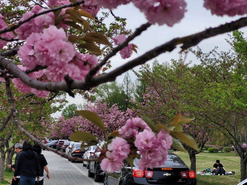공원 주변 차량 흐름과 혼잡도