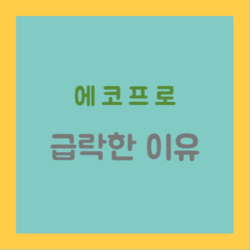 에코프로가 급락한 이유