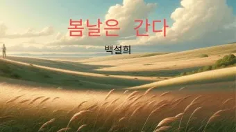 백설희 봄날은 간다 가사 노래 무료듣기_22