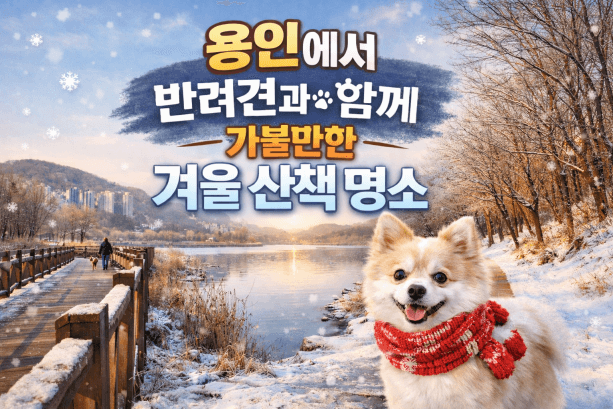 용인 반려견 산책 어디가 좋을까? 겨울에도 걷기 좋은 명소 추천