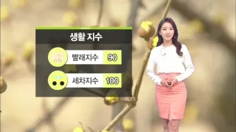 세차 지수 황사 뒤 물자국 방지 세정제 선택 요령_12