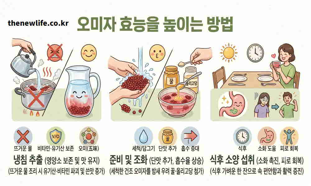 오미자 효능 먹는 법