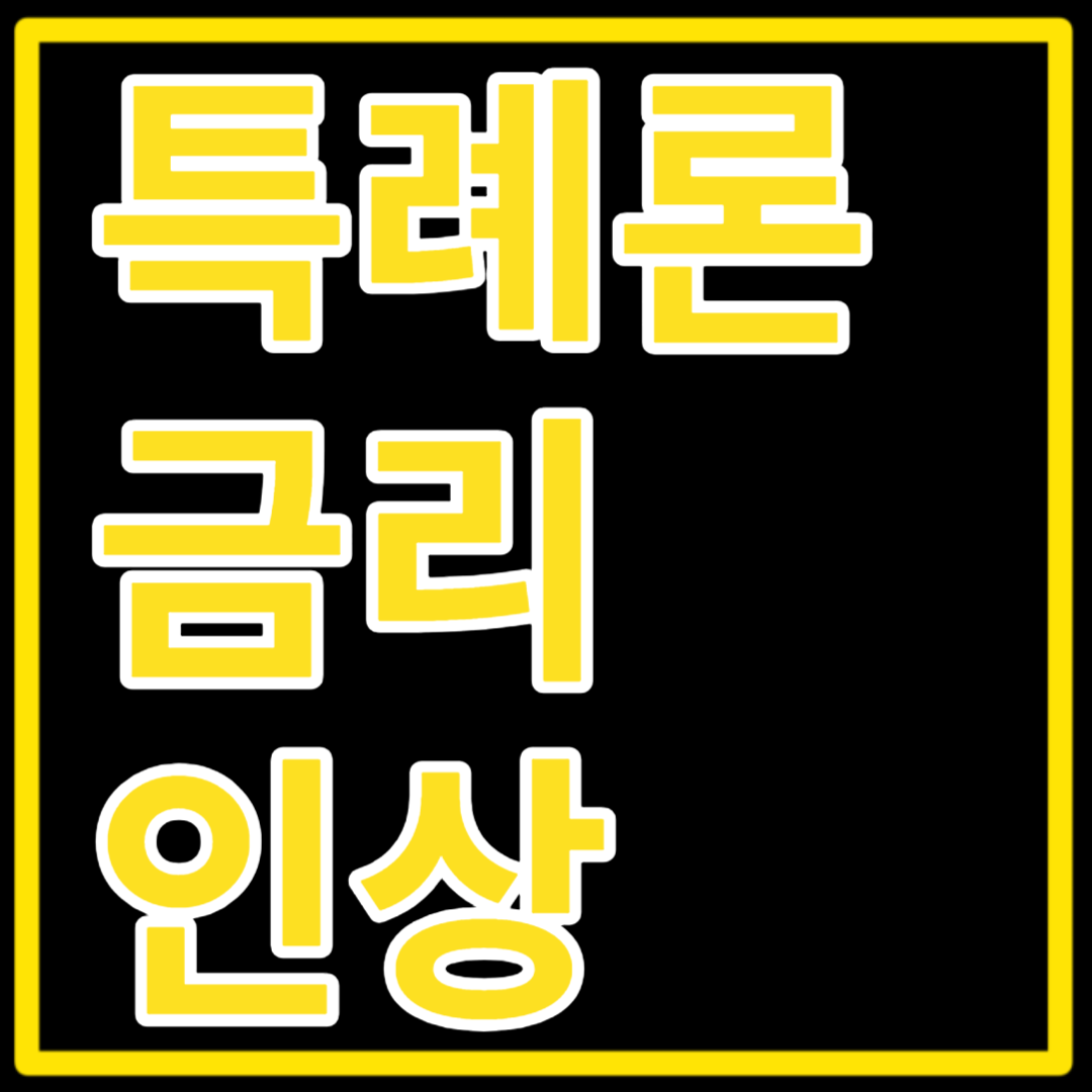 특례보금자리론
