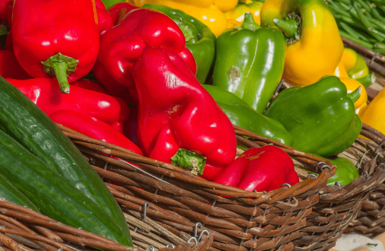 수용성 비타민이 풍부한 피망