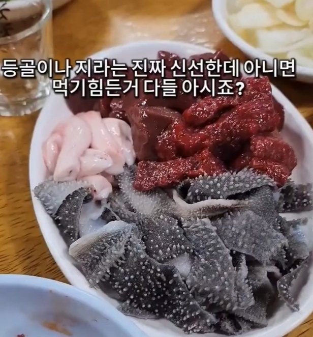 한국인의밥상-독산동-우시장